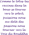 Comme le lotus les racines dans la boue.......