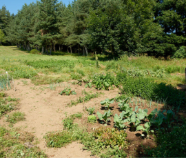 Decouvrir ecologie Demeure sans Limites