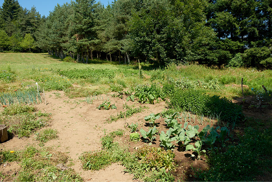 Decouvrir ecologie Demeure sans Limites