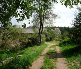 Camping du Riou la Selle 10 minutes a pied