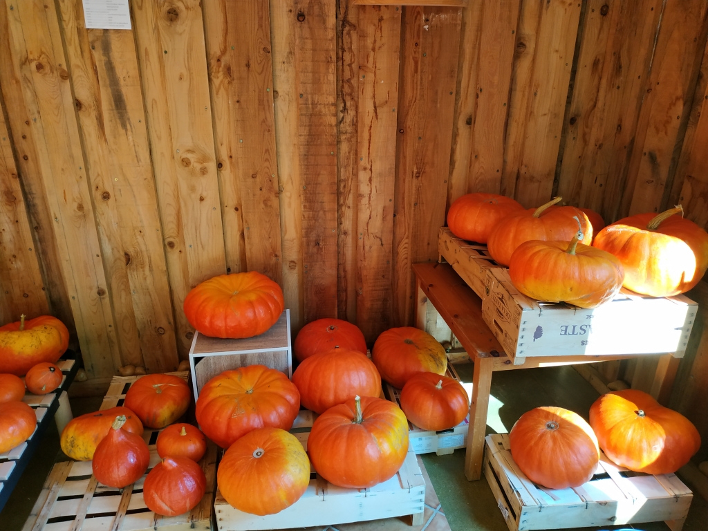 Jardin potage, il remet un peu d'ordredans sa vie